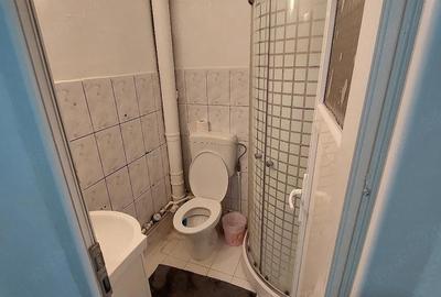 Garsonieră decomandată în Nicolina - 4