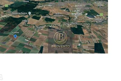 Teren de 200000 mp, în Sinești - 1