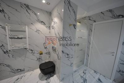 Apartament cu 4 camere în Herăstrău - 16