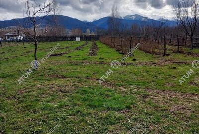 Teren intravilan 2060 mp de vanzare in Avrig zona Valea Avrigului - 6