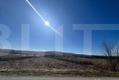 Teren în Pădureni (Ciurila) - 2