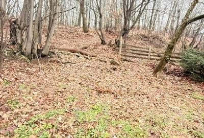 Teren intravilan de 24880 mp, în Griviței - 6