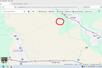 Teren de 25000 mp, în Răcari - 1