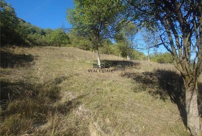 Teren de 1274 mp, în Criș - 3
