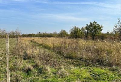 Spațiu comercial, în Central - 3