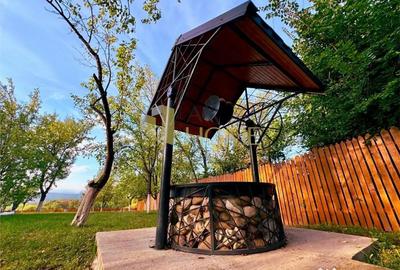 Casă cu 3 camere cu Teren 9500 Mp în Valea Călugărească - 12