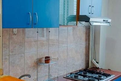 Garsonieră în Costin Georgian - 4