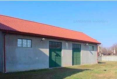 Vila cu teren si spatiu comercial in zona Fabric, pe malul Begai - 2