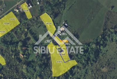 Teren constructii casa/cabana 2000 mp Valea Hrtibaciului Nucet - 4