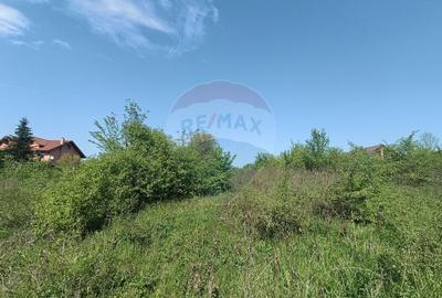 Vanzare Teren Constructii Langa Lac si Padure | Branesti | Ocazie! - 8