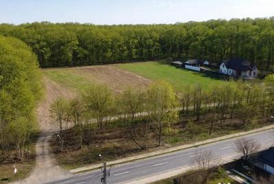 Teren în Snagov - 1