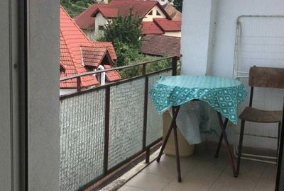 Apartament cu 2 camere decomandat în Ștrand - 2
