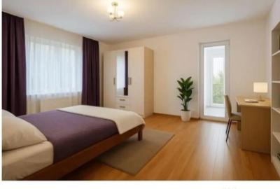 Garsonieră decomandată în Gruia - 3