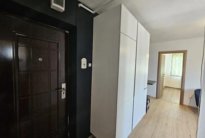 Garsonieră semidecomandată în Gojdu - 8