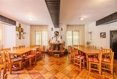 FILM! Pensiune turistica+Casa+transfer afacere+2000 mp teren,Cheile Rasnoavei,Br - 11