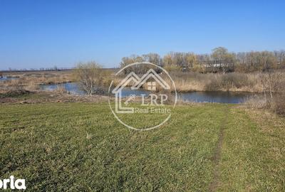 Teren de 646 mp, în Dascălu - 7