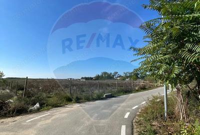 Teren 2,500mp Malu Mare / Strada BECHETULUI - 5