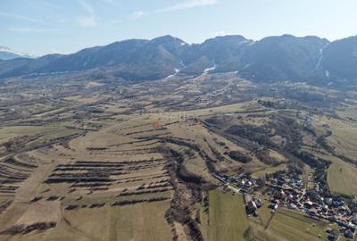 Teren Construcții intravilan de 4043 mp, în Predeluț - 31