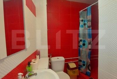 Casa 4 camere, 70mp, mobilat/utilat, zona Facultatii de Medicina - 12