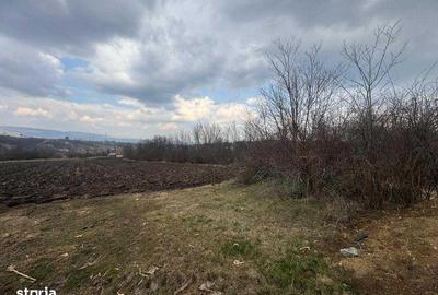 Teren de 1334 mp, în Moldovenești - 4