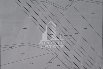 Teren agricol extravilan de 2500 mp, în Miniș - 2