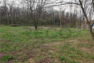 RECO . TEREN INTRAVILAN PALEU - 9