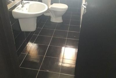 Apartament cu 2 camere decomandat în Roșu - 6