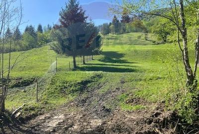 Teren 12,127mp Frasin / Drumul Forestier Valea Seaca - 12