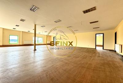 Hala si birouri zona Mogosoaia sos Odai - 9