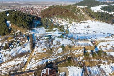 Teren Construcții intravilan de 850 mp, în Turcheș - 5