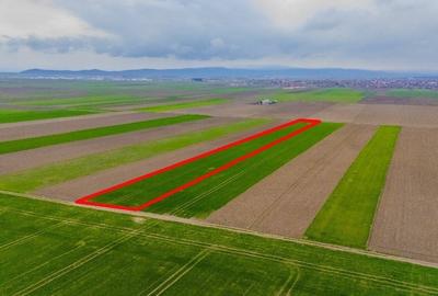 Teren agricol extravilan de 17700 mp, în Prejmer - 6