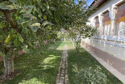 Casă cu 3 camere cu Teren 1500 Mp în Central - 8