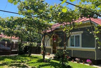 Casă cu 3 camere cu Teren 1000 Mp în Corbii Mari - 1