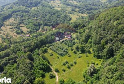 Casă cu Teren 24700 Mp în Copalnic - 2