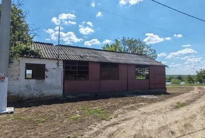 Teren extravilan deosebit, 5755 mp pe malul lacului Miersig, Bihor - 2