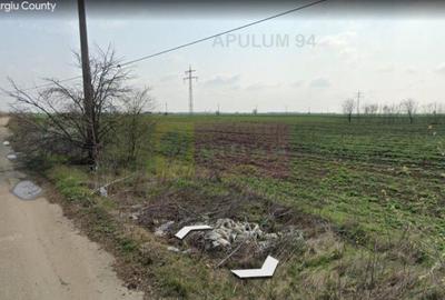 Teren 40ha Adunatii Copaceni | Industrial/ Logistic - 5