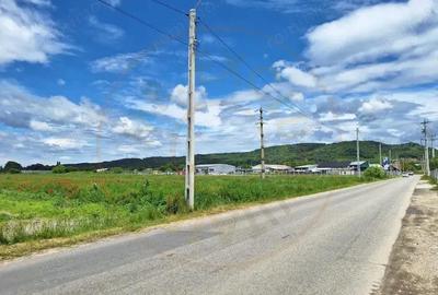 Teren industrial de vanzare ?tefane?ti, Strada Sticlelor - 2