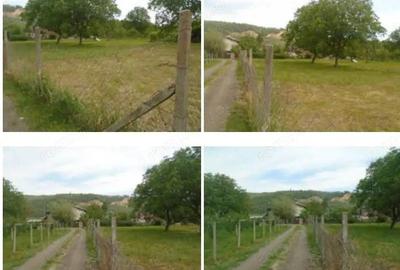 Teren intravilan loc. Brosteni, judetul Vrancea - 2
