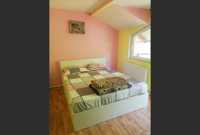 Casa de vacanta perfecta pe malul Cernei - 10