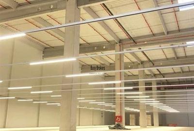 Spatiu Industrial - 4000 mp - Logistica - Productie - Depozitare - Distributie - 3