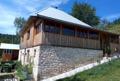 Teren de 56000 mp, în Arieșeni - 17