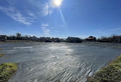 Teren Str. Livezilor - Mogosoaia - Comision 0% - 3