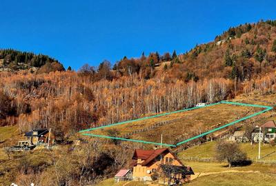 Teren de 20000 mp, în Moieciu - 1