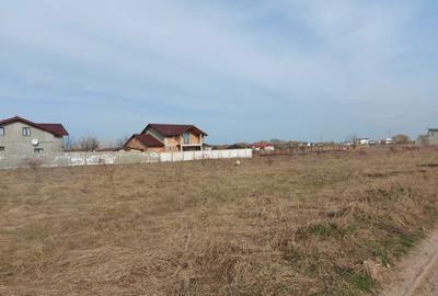 Teren de 11914 mp, în Vidra - 7