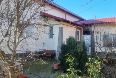Casă cu 7 camere cu Teren 16000 Mp în Ciorani - 4