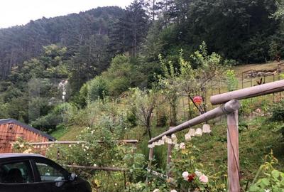 De vanzare teren intravilan in zona Schei (+cabana) - 3