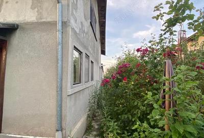 Casă cu 3 camere în Plopu - 7