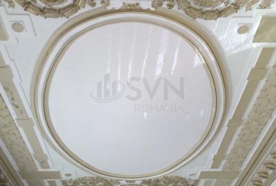 REV2000724 Vila deosebita Lascar Catargiu gradina mare - 2