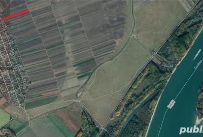 Teren de 7000 mp, în Braniștea
