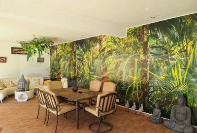 Vila 350 mp utili, teren 700 mp, strada Craitelor - 1